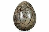 Septarian Dragon Egg Geode - Removable Section #251551-2